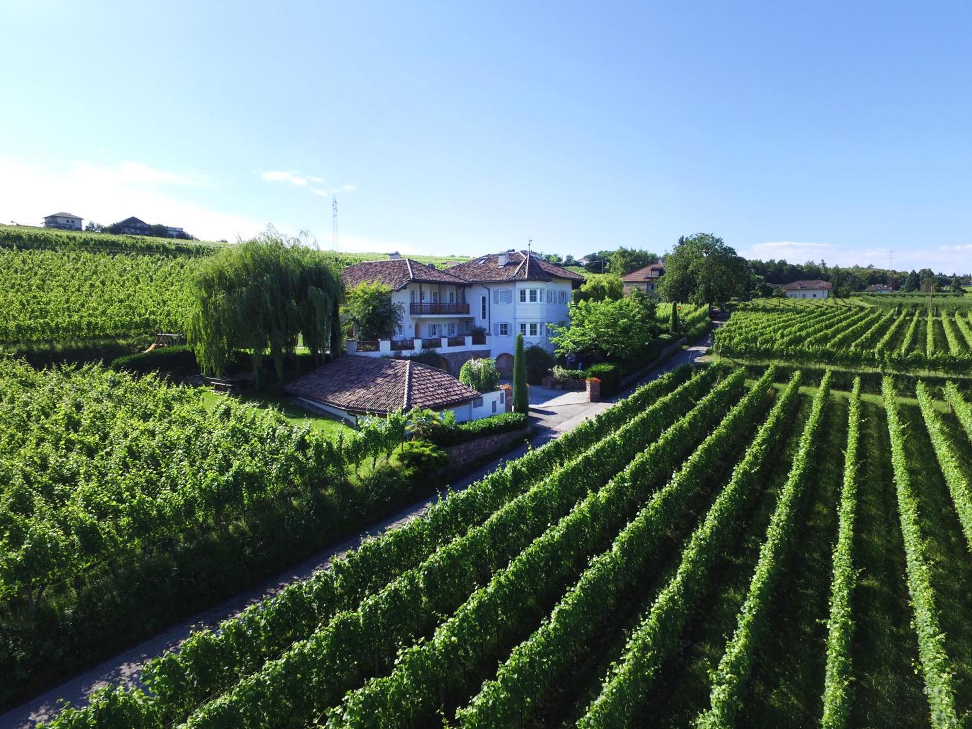 Weinhof Mumelter Apartment Appiano Sulla Strada Del Vino Exterior photo